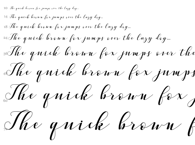 Vellesa Script font waterfall